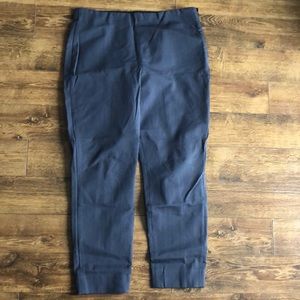 Everlane Side Zip Work Pants (Slate Gray)